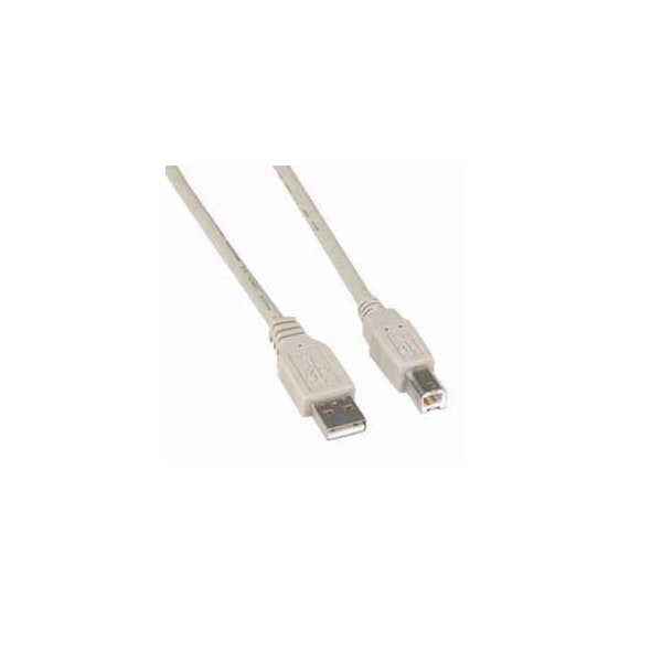 Bestlink Netware A-Male to B-Male USB2.0 Cable- 10ft- Ivory 150133IV